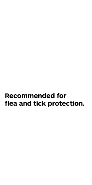 Recommended for flea and tick protection.